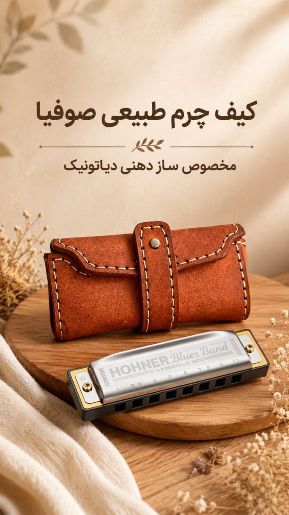 کیف سازدهنی دیاتونیک